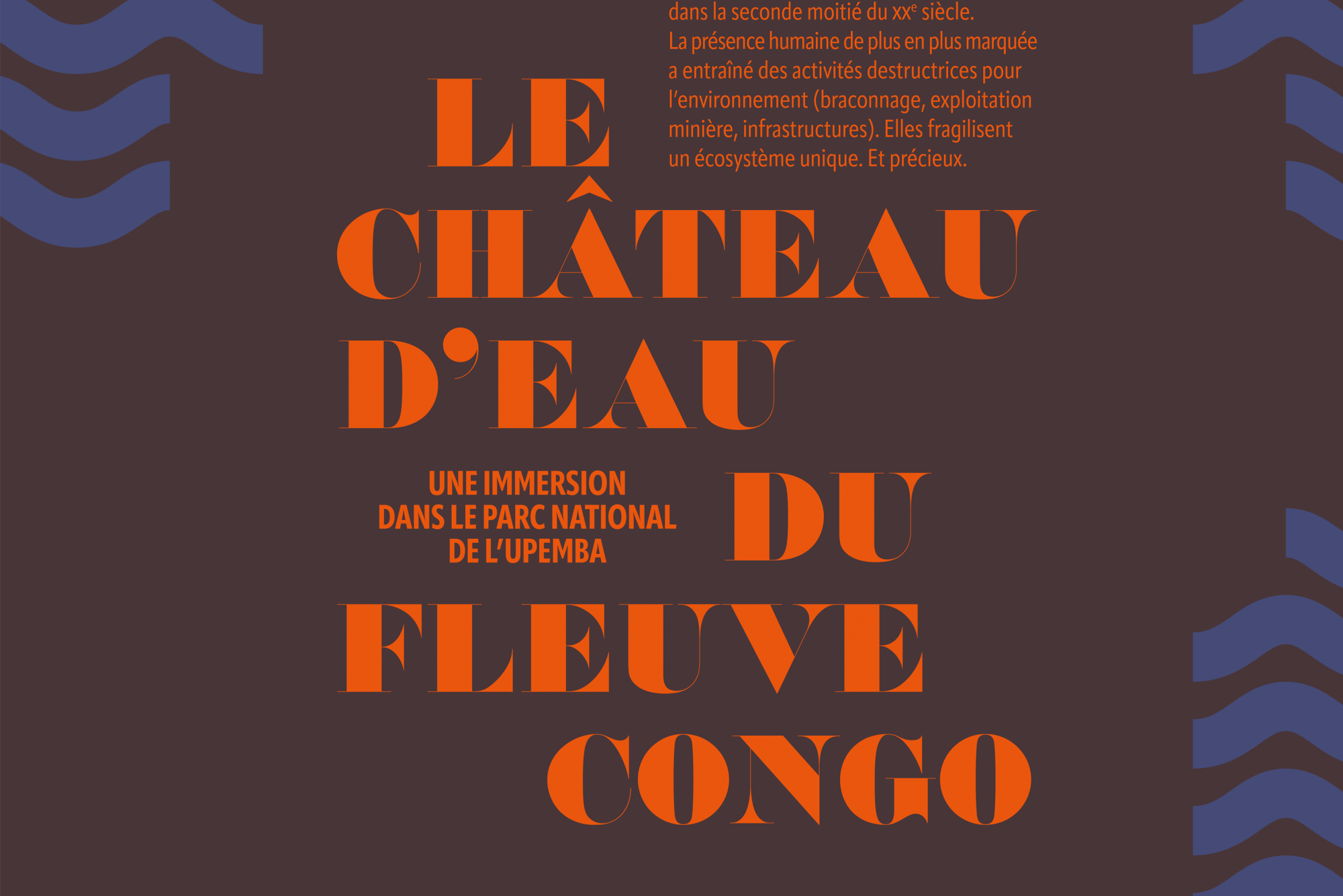 Graphisme de l'exposition Upemba – Le château d'eau du fleuve Congo